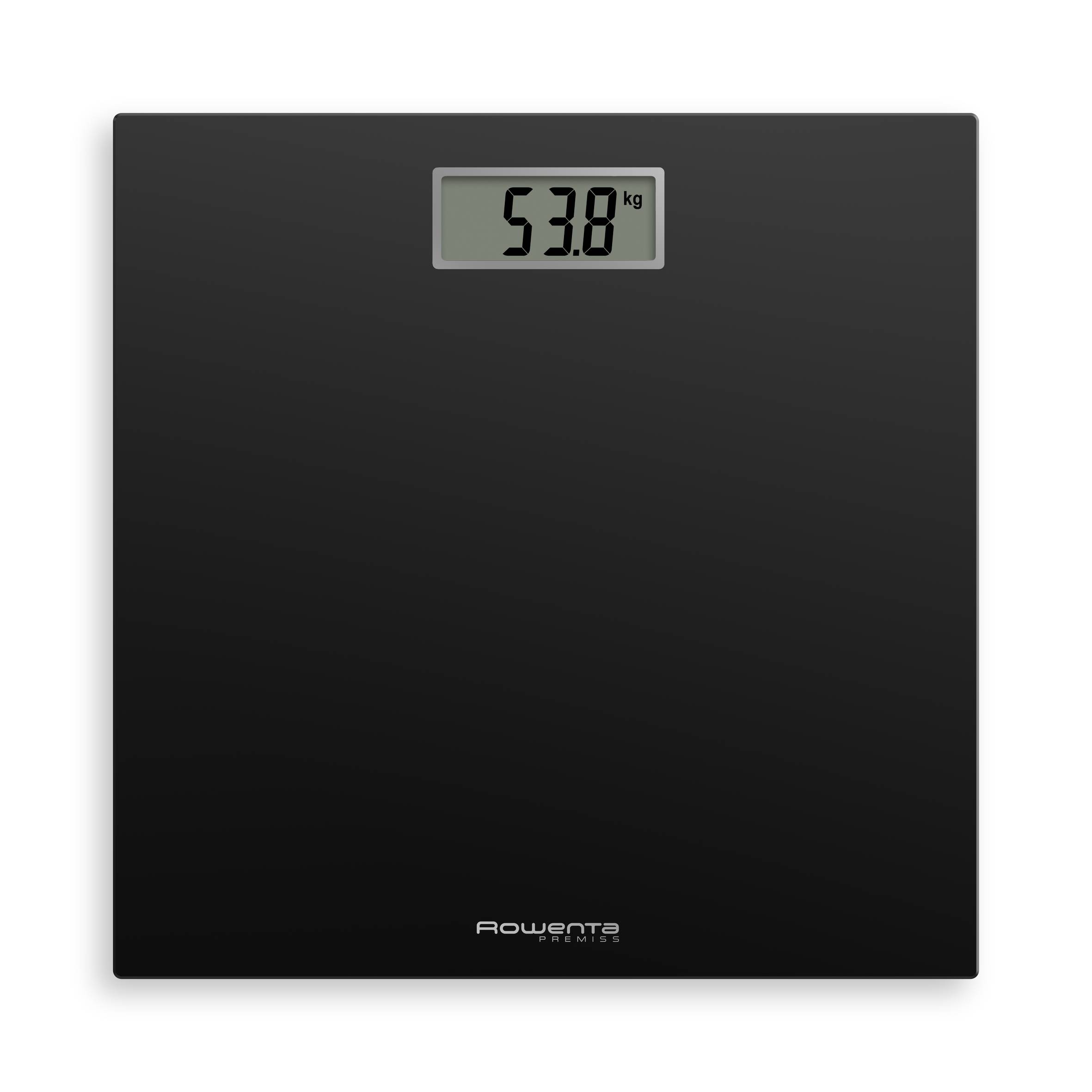 Bilancia pesapersona Premiss