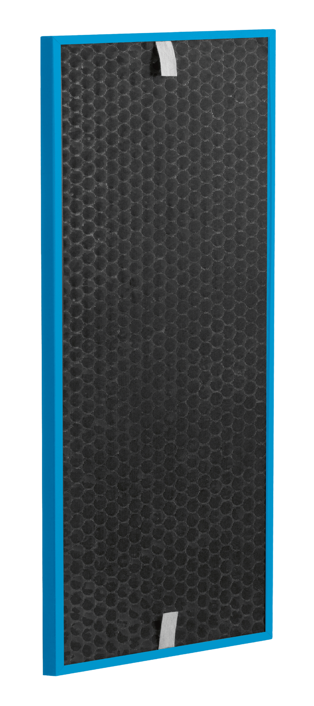 FILTRO XL CARBON CAPTUR BOOST XD7161E0 per Intense Pure Air XL