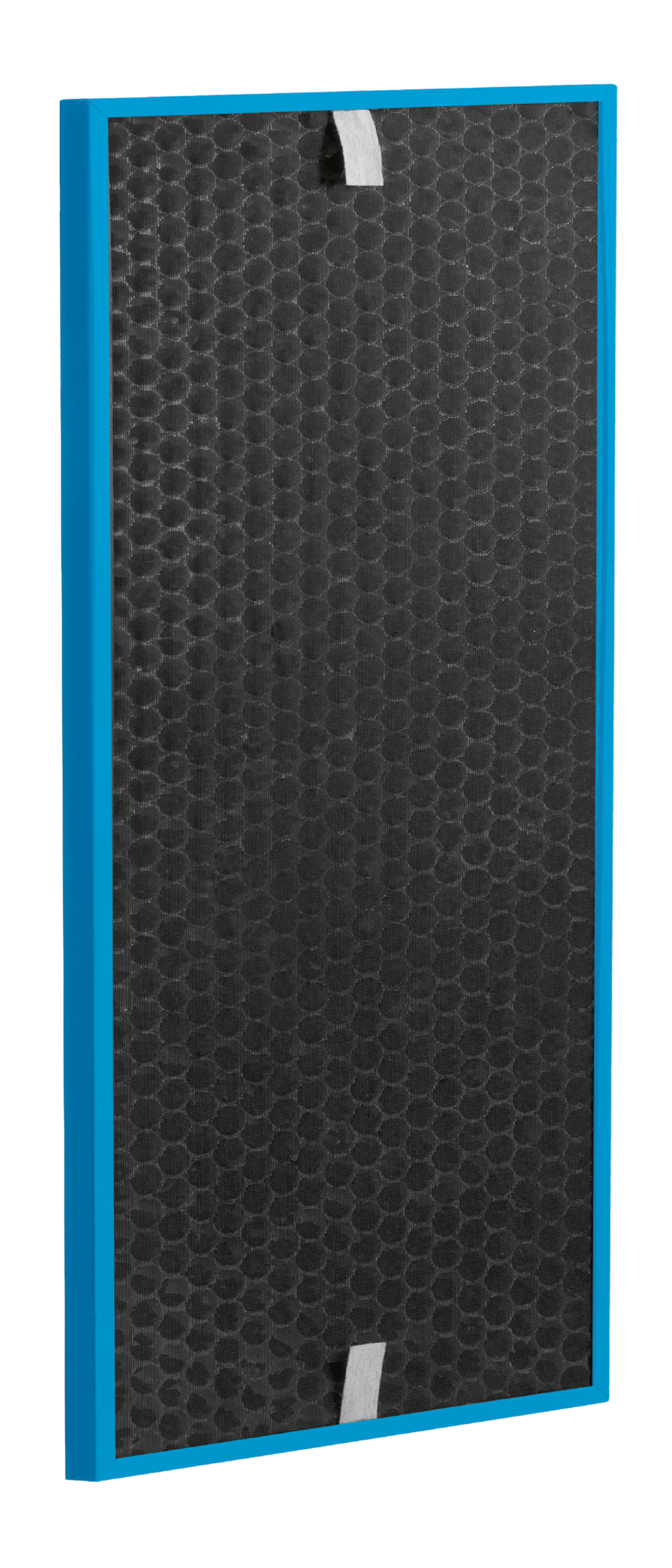 FILTRO CARBON CAPTUR BOOST XD7160E0 per Intense Pure Air