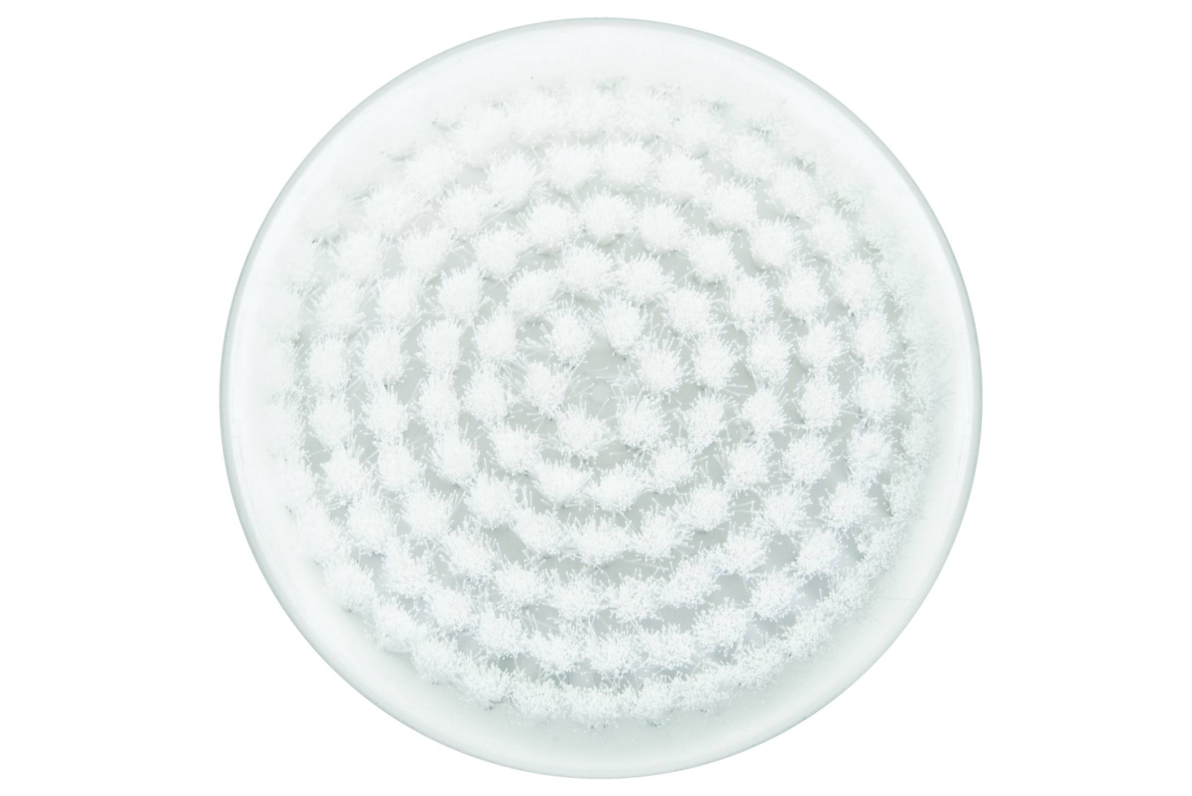 Ugello spazzola viso esfoliante XD4110F0