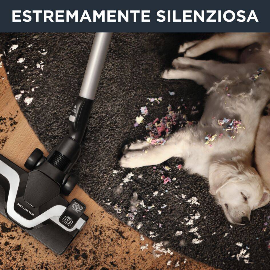 SILENCE FORCE CYCLONIC