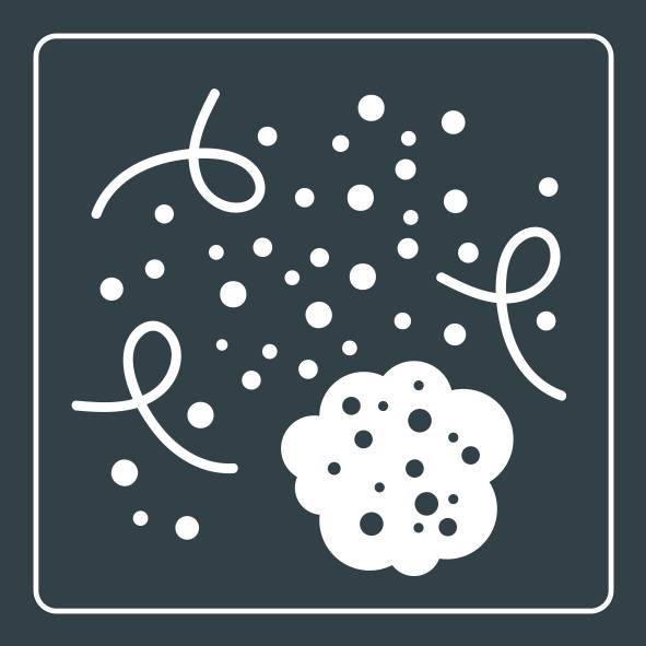 3IN1 FILTER : PREFILTER, ACTIVE CARBON AND HEPA ALLERGY+ XD6260F0