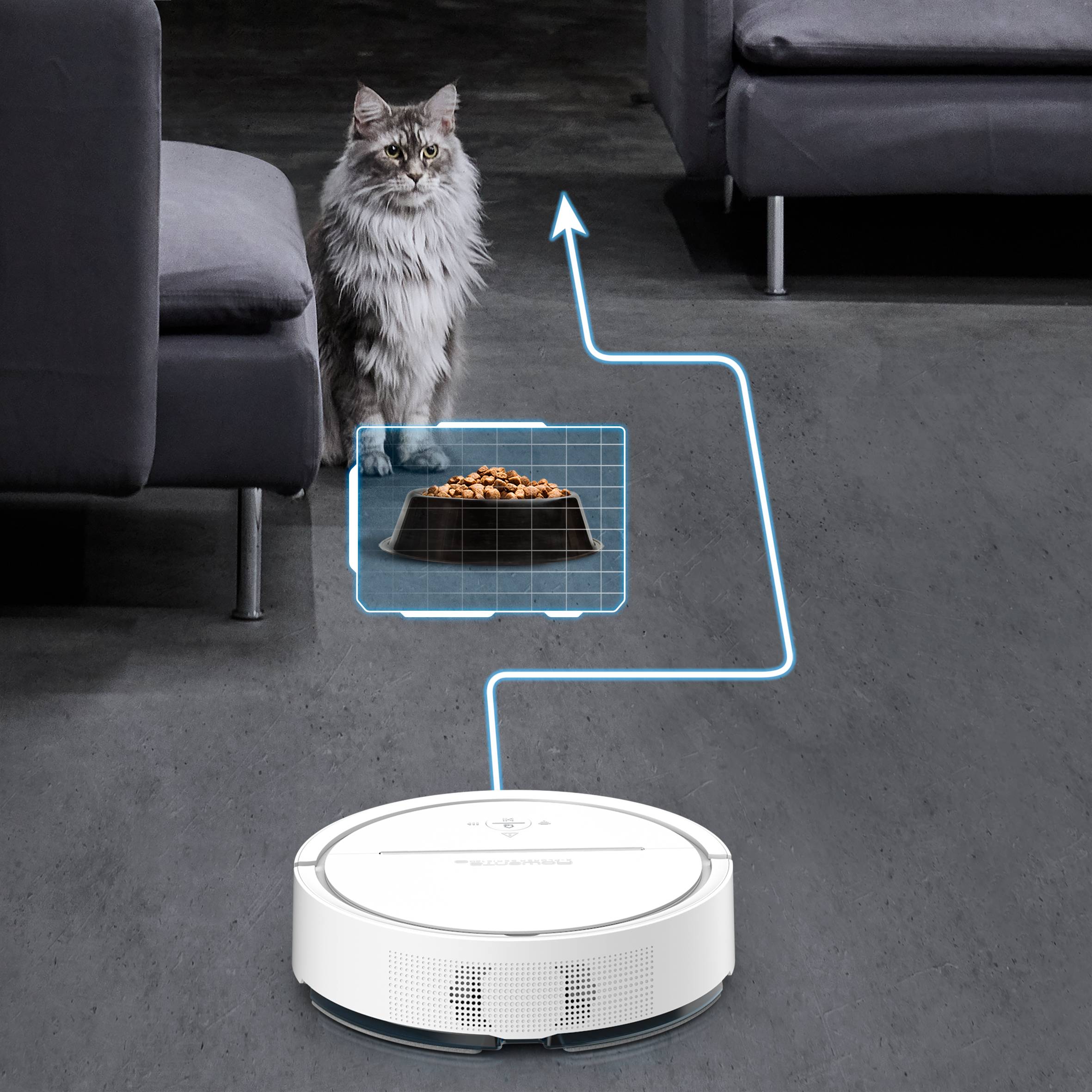 X-PLORER SERIE 120 AI ANIMAL & ALLERGY 